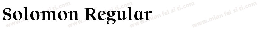 Solomon Regular字体转换